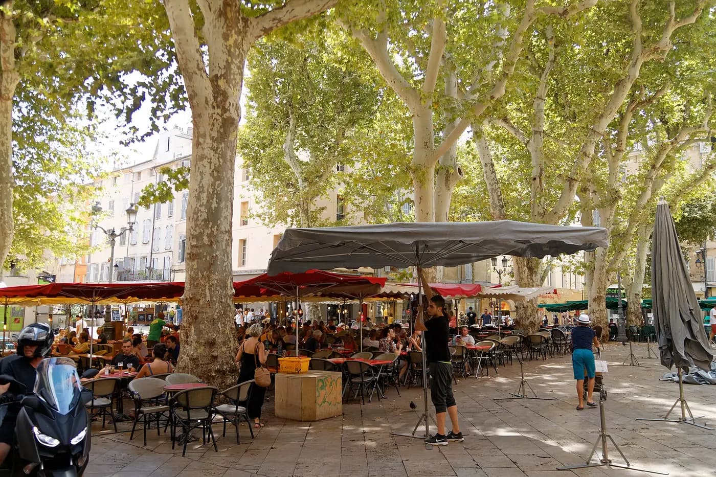 Terrasses sous les platanes de la place Richelme, dans le centre historique d'Aix-en-Provence