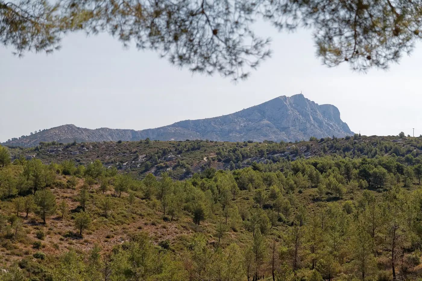 La montagne Sainte-Victoire vue depuis les collines du Tholonet